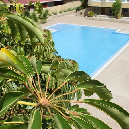 Apartment Medano Relax